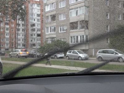 В Литве шел грязный дождь: метеоролог объяснил, в чем причина - Литва и страны Балтии