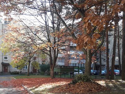 Прогноз погоды: на следующей неделе нас ожидает  устойчивое понижение температуры - В Висагинасе