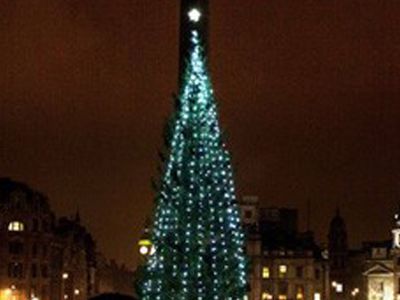 В Каунасе зажглась елка из переработанных пластиковых бутылок                                 - Хобби, отдых и развлечения