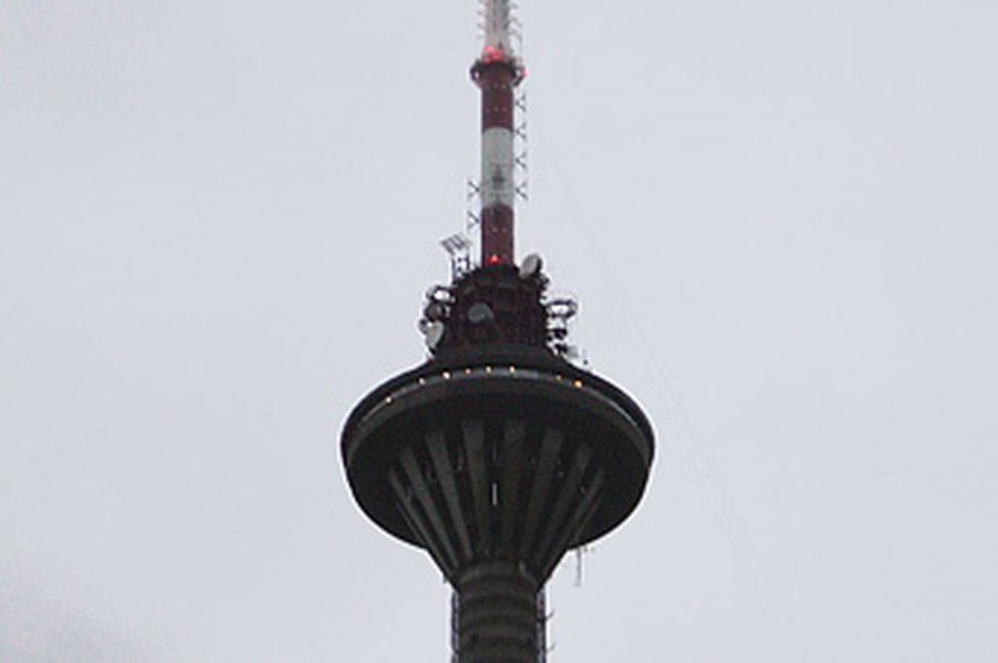 Эстонские патриоты побегут по следам советских десантников - Литва и страны Балтии