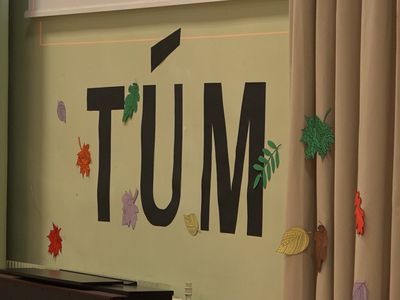 Успехи висагинских школ в проекте TŪM – «Школа тысячелетия» (видео) - В Висагинасе