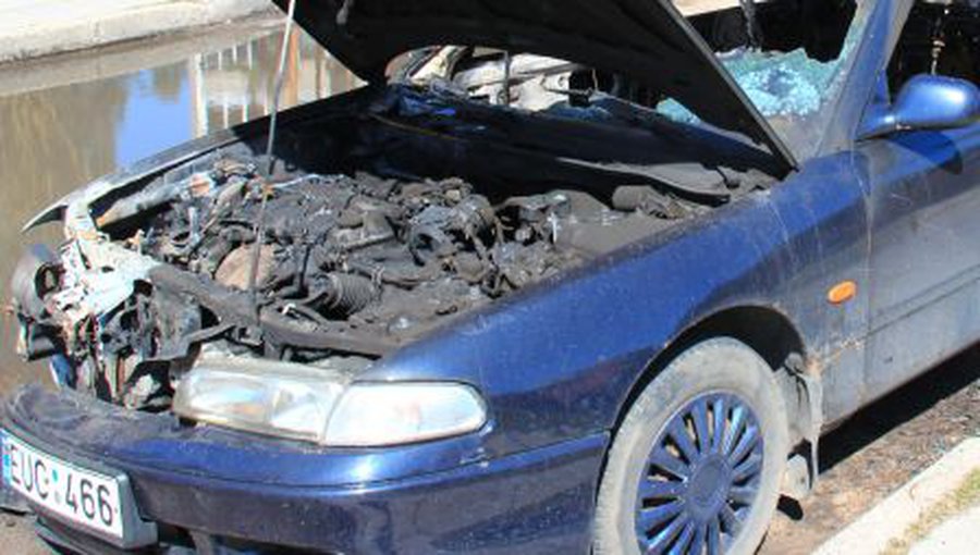 А у нас во дворе ... (добавлены фото) - В Висагинасе