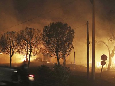 СМИ: число жертв лесных пожаров около Афин возросло до 50 - В Мире