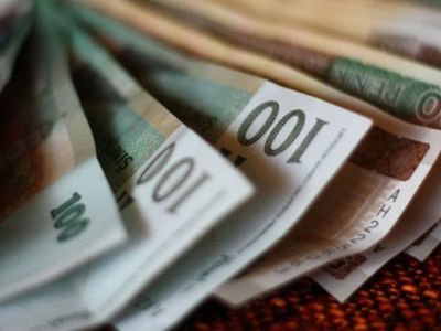 Президент Литвы одобряет повышение минимальной зарплаты - Литва и страны Балтии