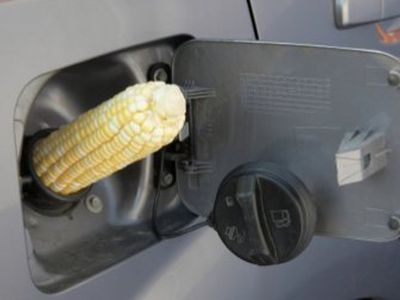 Решение EK может стоить Литве миллиард литов - Энергетика