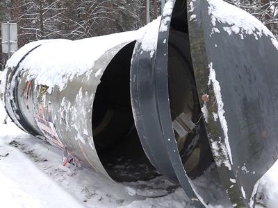 Кадр дня. Тумба прилегла - В Висагинасе
