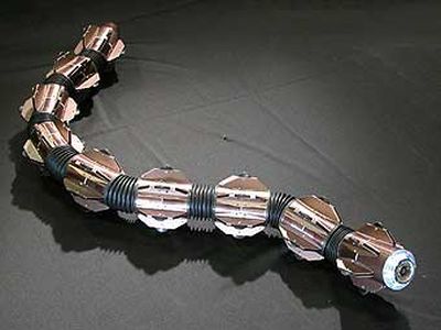 Норвежцы начали разработку робозмеи на колесах - Наука и здоровье