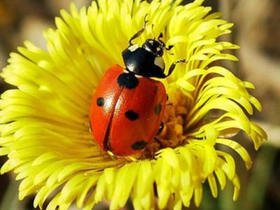 Прогноз погоды: если ничего не изменится, на следующей неделе наступит лето

 - Хобби, отдых и развлечения