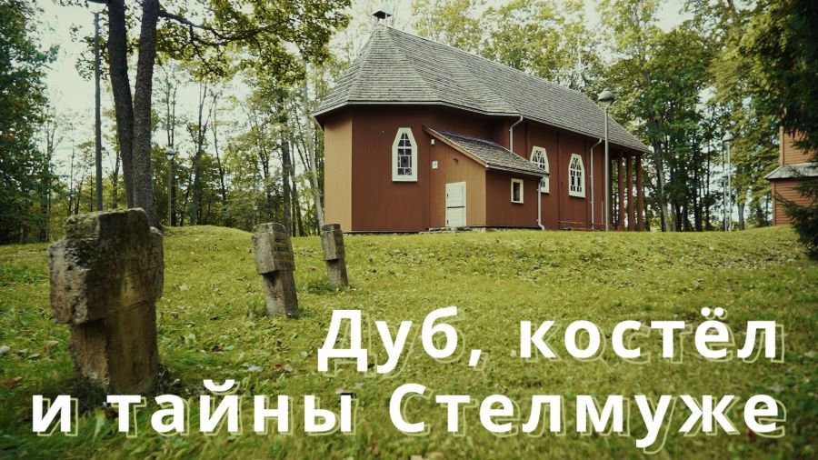Стелмуже: вековая история дуба и поместья (фильм) - Это интересно