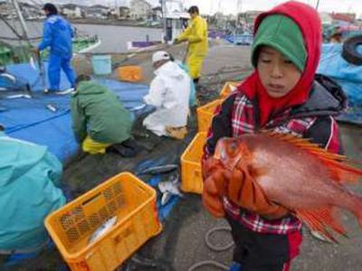 Фукусима продолжает загрязнять океан - В Мире