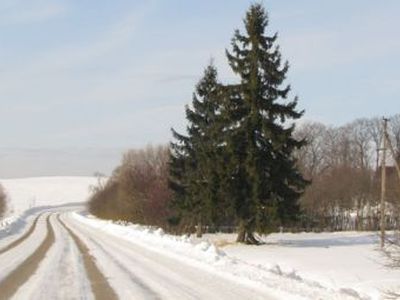 Вниманию владельцев автотранспортных средств - В Висагинасе