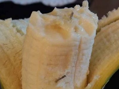 ГПВС призывает к бдительности: в продуктах питания находят иголки - Литва и страны Балтии