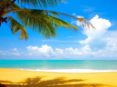 Будущее Литвы – короткие зимы и тропические ночи - Литва и страны Балтии