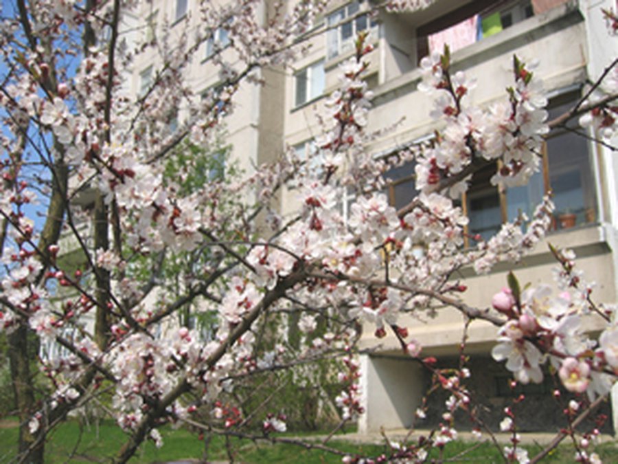 Завершен отопительный сезон 2007-2008 г.г . - В Висагинасе