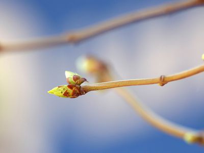 Прогноз: порадуют ли выходные теплом? - Литва и страны Балтии