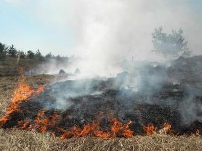 Sulaikyti padegėjai – kentės tėvai - Įvykiai ir kriminalas