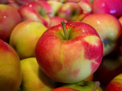 Минсельхоз Литвы подсчитал, какие продукты дорожают - Литва и страны Балтии