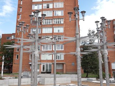 Когда закончатся работы на аллее Седулинос? - В Висагинасе