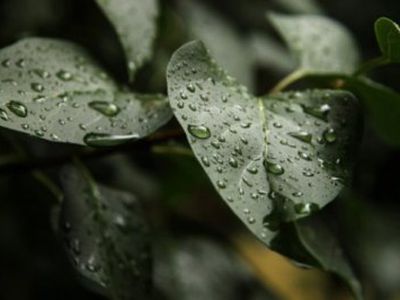 Savaitgalį orai nedžiugins, numatomas lietus - Lietuva ir Baltijos šalys