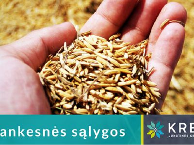 Золотое правило для фермеров: как должно финансироваться имущество? - Реклама