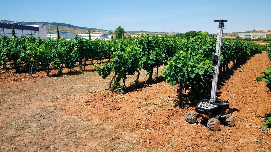 Технология VINBOT помогает европейским виноделам - IT новости