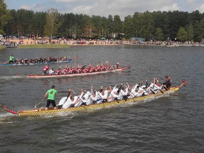 Хорошая новость: на развитие важной для города идеи выделено 40 тысяч евро (видео) - В Висагинасе