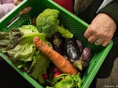 Литва обратится в ЕС за финансовой помощью пострадавшим от неблагоприятной погоды фермерам - Литва и страны Балтии