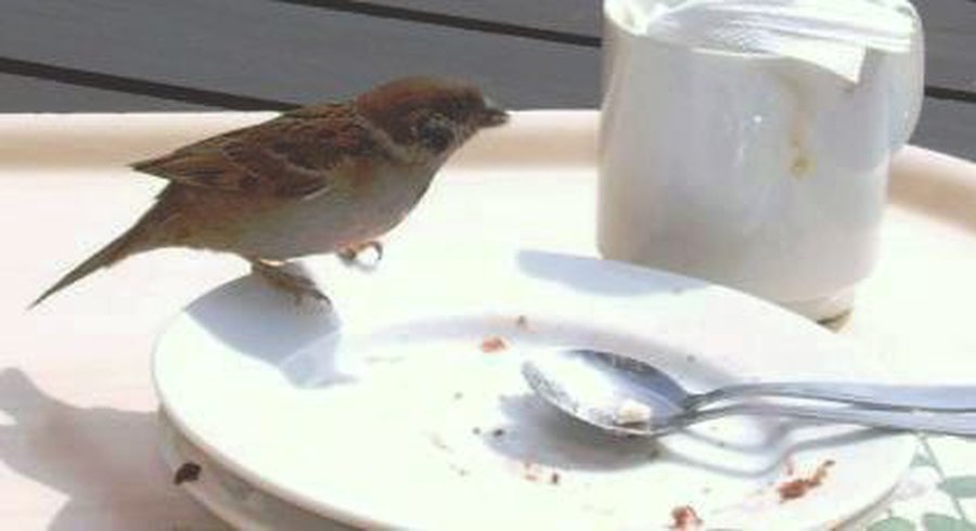 Эксперты: эра дешевых продуктов подходит к концу - В Мире