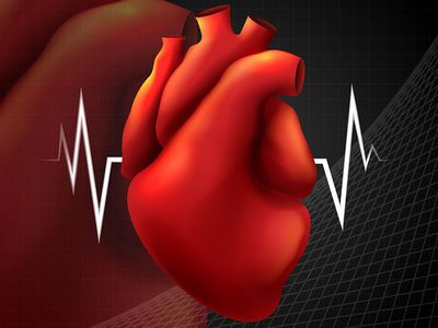 В прошлом году в Литве скончалось на 4862 человека меньше - Наука и здоровье