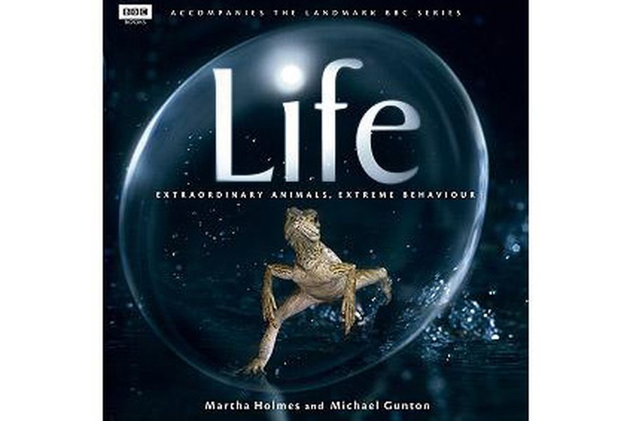 СССР — США: Уникальный эксперимент образованности                 - Наука и здоровье