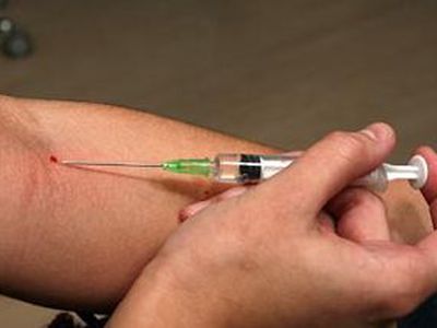 Скандал в США: в брошюре для наркоманов советуют, как готовить вены к инъекции - В Мире