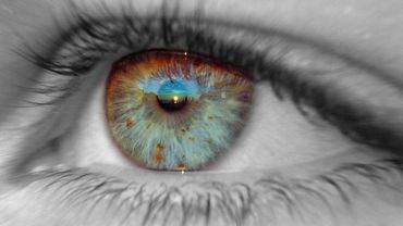 Человеческий глаз можно вырастить в лаборатории