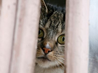 БЕЗ ЦЕНЗУРЫ: Конкретно для технического руководителя ЗАО «Висагино бустас» - Без цензуры