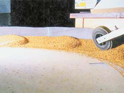 Как возникает «стиральная доска» - Хобби, отдых и развлечения