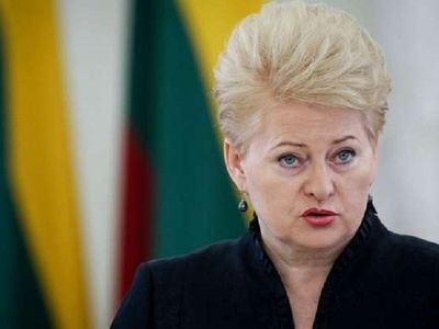 Президент выразила соболезнования Индонезии в связи с жертвами цунами - Литва и страны Балтии