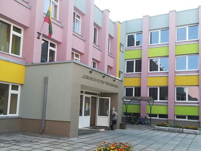 Буллинг в висагинской школе. Интервью с родителями, мэром и директором прогимназии (видео) - Новости регионов