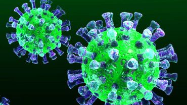 Dar keliose šalyse patvirtinti pirmieji koronaviruso atvejai