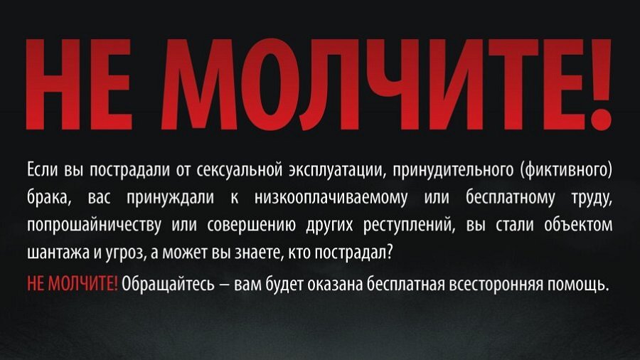 Телефон доверия - Происшествия и криминал