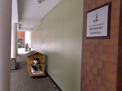 В Висагинасе появился первый «Кошкин дом» - В Висагинасе