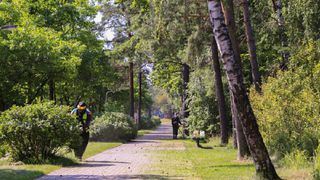 Обновлённый график покоса травы