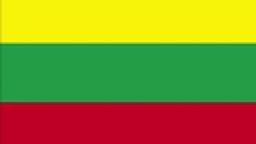 В Литве предложили поднять штраф за отказ вывесить флаг