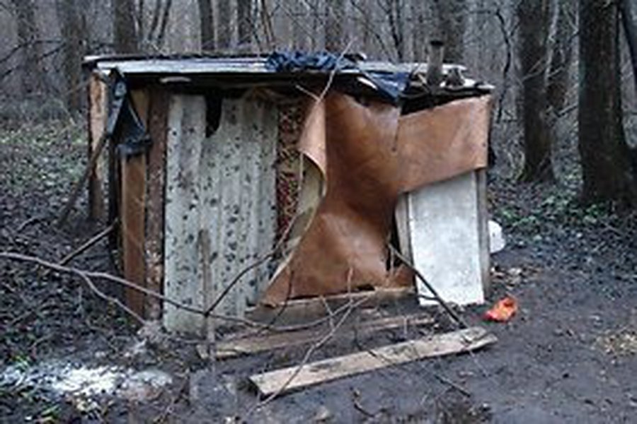 Полиция обнаружила молодую женщину с дочкой, которые жили в лесу                                                                                       - Происшествия и криминал