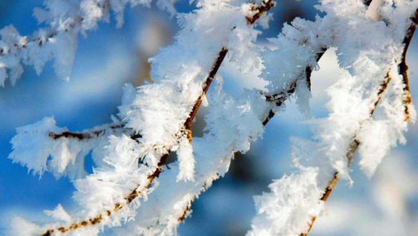 Savaitės orai: žiema grįžta be skrupulų