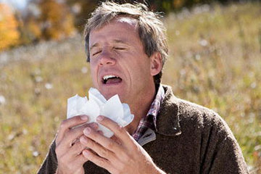 Чрезмерная чистоплотность может вызывать аллергию