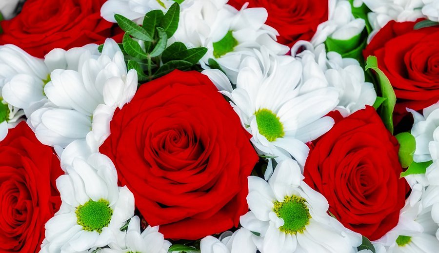 Поздравляем с юбилеем! - Поздравления