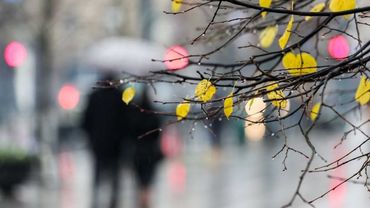 Ответ жалующимся на лето: литовская зима станет неузнаваемой