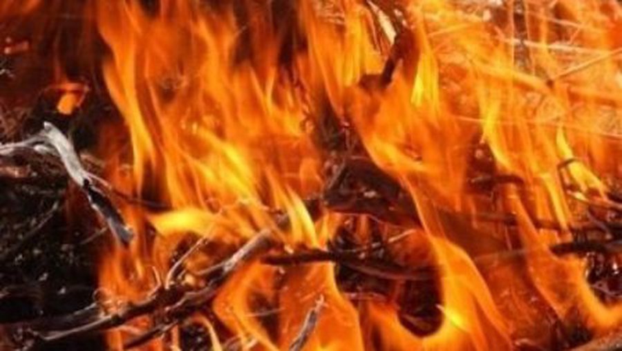 В деревне дом тушили 6 автоцистерн, погиб человек

 - Происшествия и криминал