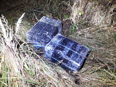 Служебная собака таможенников в Шальчининкае случайно обнаружила контрабандные сигареты - Происшествия и криминал