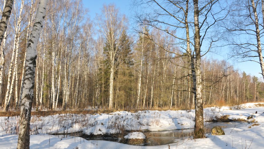 Погода: после выходных потеплеет до 9 градусов - Литва и страны Балтии