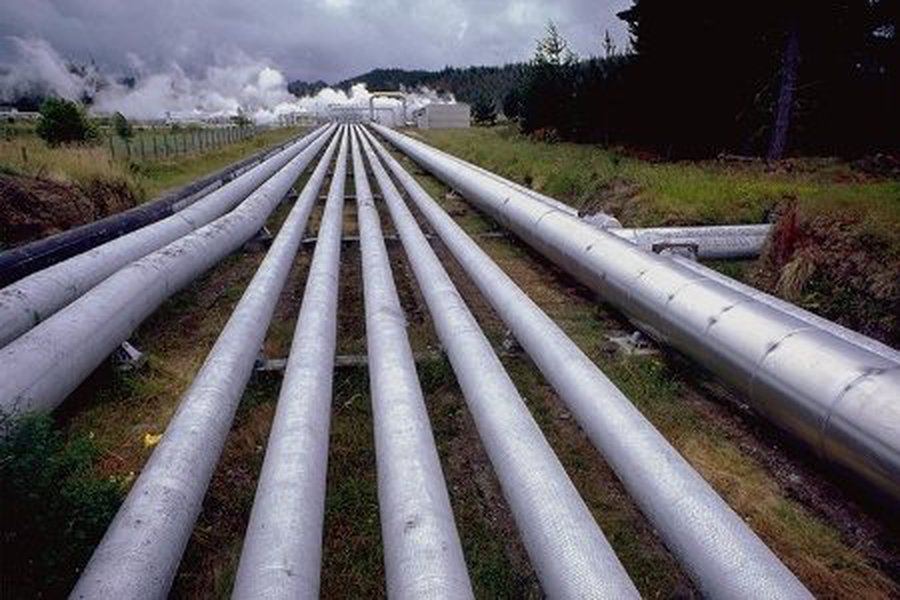 Грибаускайте: в области энергетики правительство пока умеет только разрушать - Энергетика